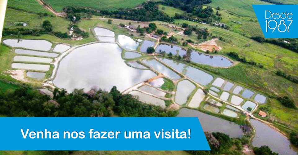 Foto Aéria